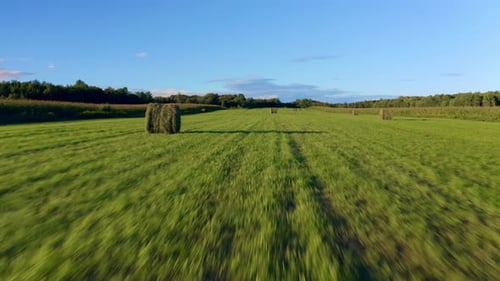 Drone flying at ground level in a wheat field before taking off showing a beautiful forest