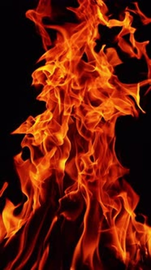 Campfire flames rising high into the darkness. Isolated bonfire burning on the ground