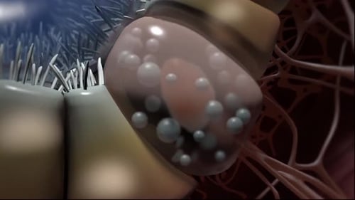 Animated 3D Microscopic View of Biological Cells