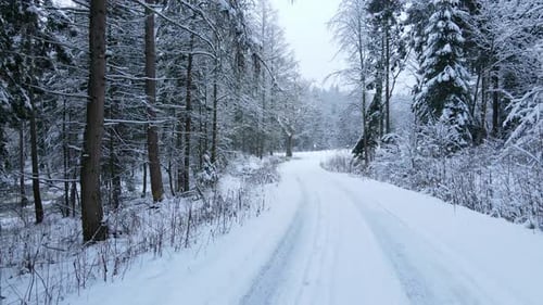 Smooth backwards shot of snowy winter woodland path in forest with high fir and pine trees during Ch