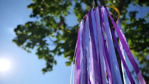 Purple Ribbons Hanging From a Tree on Sunny Day