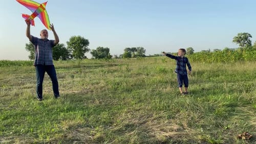 Positive Father Spending Time with Son By Flying Kite at Meadow Sunset