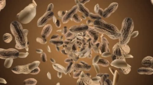 Rotating Peanuts in Animated Abstract Composition