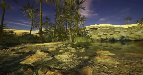 Rugged Desert Oasis with Palm Trees and Clear Water Under a Twilight Sky