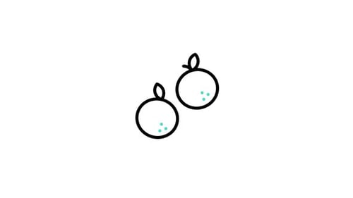 Tangerine Animated Icon