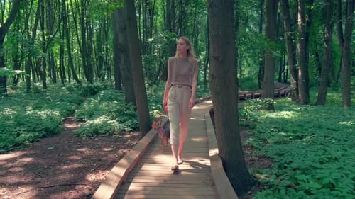 Woman Walking Dog Along Forest Path
