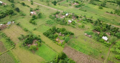 Aerial view of lush farmland and village, Uganda.