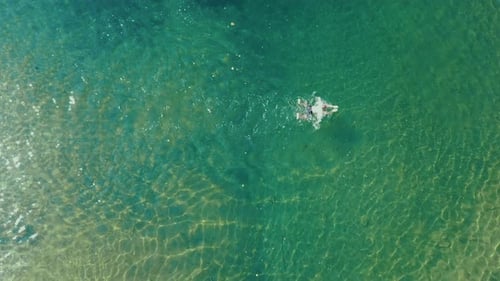 drone shot of kid swimming in beautiful blue water of sea