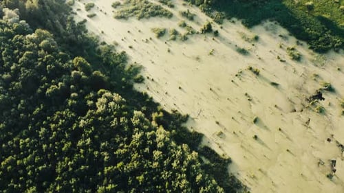 Overgrown Green Pond