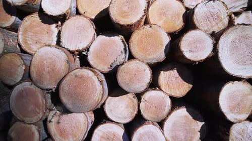 Close up of stacked logs in a heap, zooming in, bright real-time shot, texture background