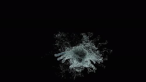 Dynamic Water Splash Reveal with Realistic Fluid Motion