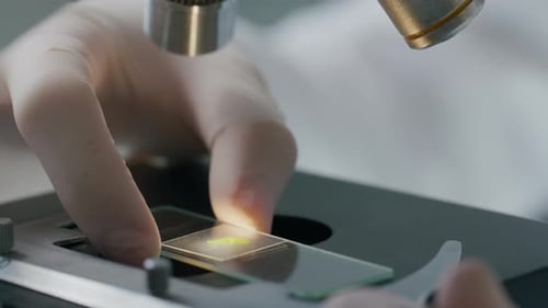 Detalhe do exame da lâmina de vidro com amostra de folha sob microscópio