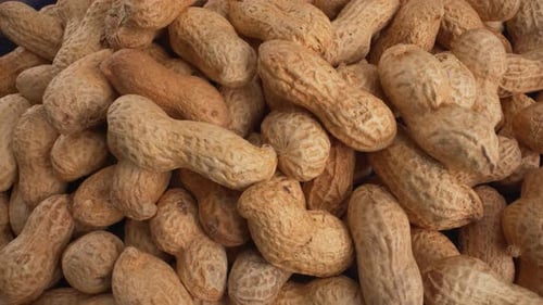 Pile of Peanuts in Shell Close Up View