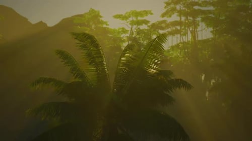 Sunlight Peeking Through Trees in Forest