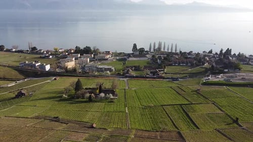 Aerial downward and upward tilt of vineyards and a train in Lutry, Switzerland with Lake Geneva in t