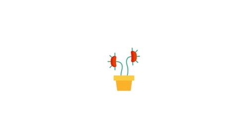 Venus Fly Trap Icon Animation