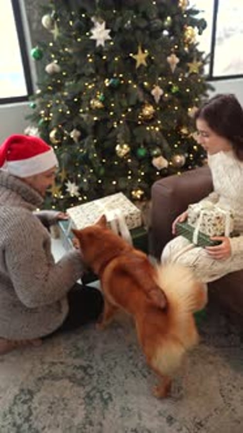 Christmas Gift Exchange by Decorated Christmas Tree