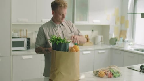 Man Unpacking Groceries in Sunny Kitchen