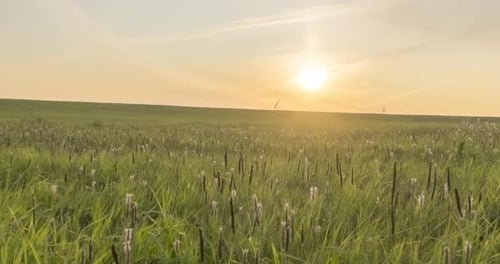 Hill Meadow Timelapse at the Summer or Autumn Time
