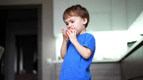Cute Boy Eating Red Apple in Modern Kitchen