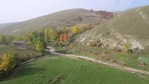 Sheep And Goats And Mountain Landscape