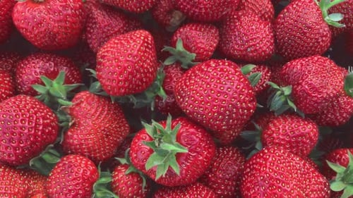 Fresh Red Strawberries Close Up
