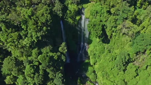 Sekumpul Waterfall, dense Indonesian verdant tropical habitat, aerial