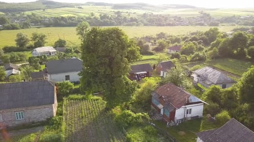 Aerial View of Small Village with Small Houses Among Green Trees with Farm Fields and Distant Forest