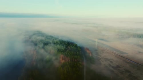 Fog Over Lake and Forest Landscape with Power Lines at Sunrise, Misty Morning