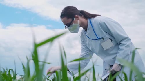 Botanist scientist analyzing plant crop making notes in a journal. Woman gardener biologist testing