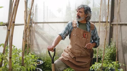 Smiling Man Gardening in a Sunny Greenhouse