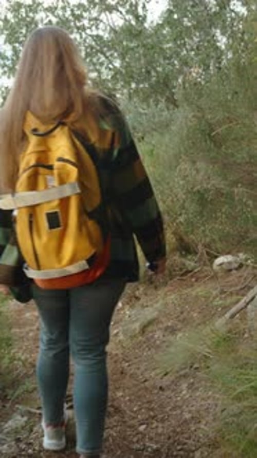 Vidéo verticale. Une femme avec un sac à dos orange vif descend de la montagne à travers des arbres denses
.