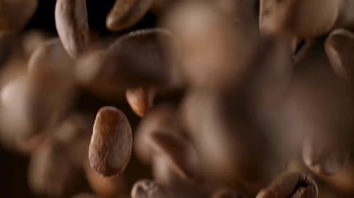 Coffee Beans, Coffee