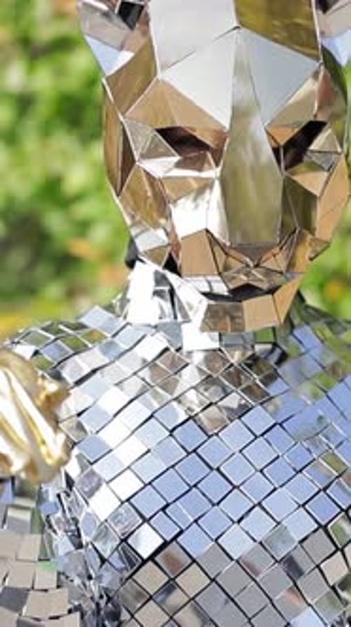 Reflective Mirror Costume Mask Shimmers in Nature