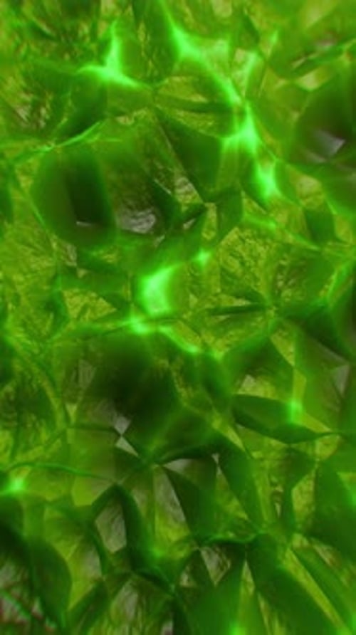 Transforming and Shifting Green Crystal Structures in Dynamic Light Effects