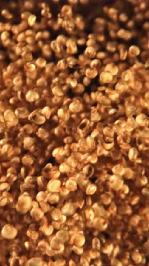 Chia Seeds Fly and Fall Down Filmed on a Highspeed Camera at 1000 Fps