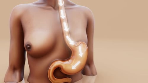 Conceptual 3D animation of a woman showing stomach anatomy