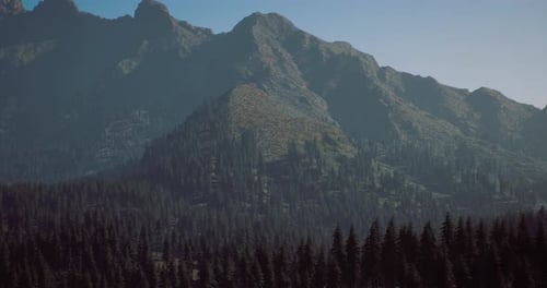 Majestic Mountains Rise Above Dense Forest Under Clear Blue Sky