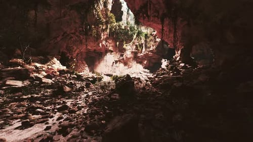 Large Fairy Rocky Cave with Green Plants
