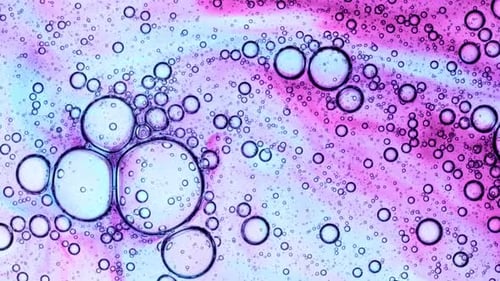 Abstract Oil Droplets Floating in Water