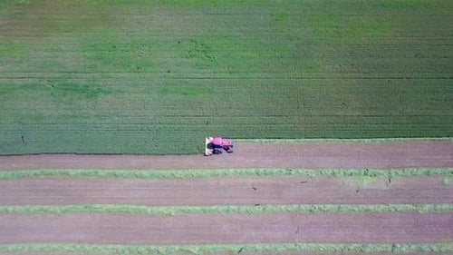 Aerial footage of a Combine harvester harvest a green wheat field