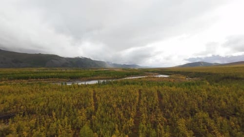 Experience a breathtaking aerial journey showcasing a tranquil river meandering through vibrant gold