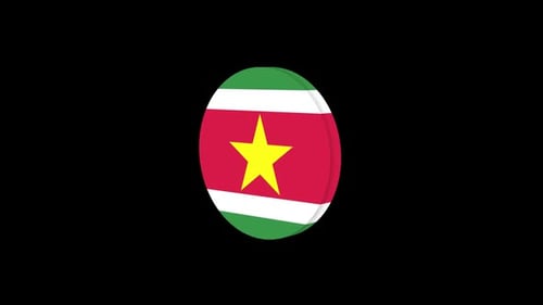 suriname flag3d icon