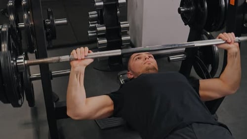 Arms Concentrates Presses Bodybuilder Machines Bench