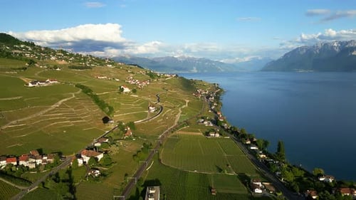 Push in drone shot of Lavaux terraced vineyards and Lake Geneva during the day in canton of Vaud