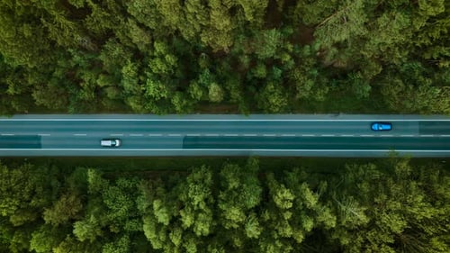 Car Driving Through Forest Highway Silver Hatchback Moving Under Cloudy Sky Top View Automobile