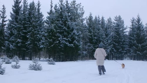 Person Walking Dog in Snowy Forest Slow Motion Scenery