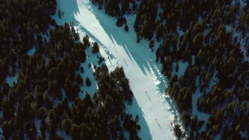 Esquiadores, esquí paralelo, cuesta abajo sobre nieve, montaña, pendiente de árboles, vista aérea de arriba hacia abajo