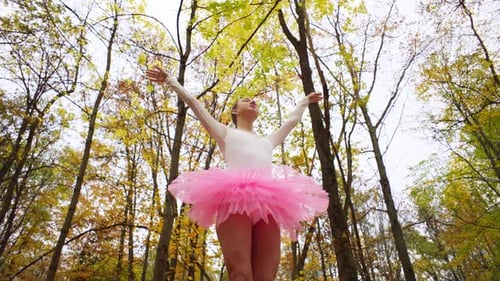 Ballerina Dances in Autumn Forest