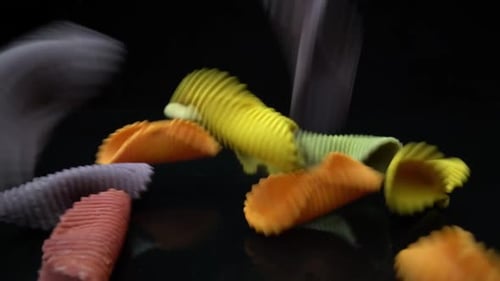 Colorful Conchiglie Pasta Falling on Black Surface